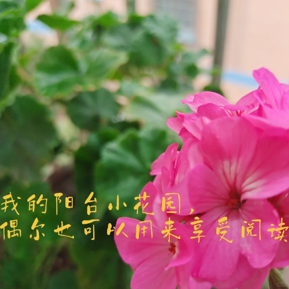 我的读书博主第一个目标：实现纸质书自由