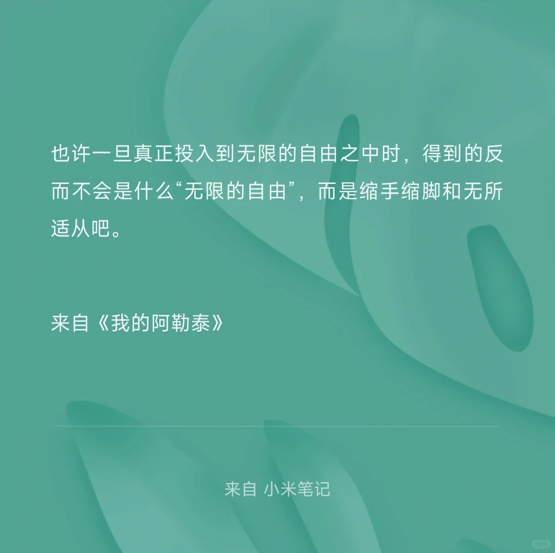 每日读书笔记摘录｜什么是“无限的自由”