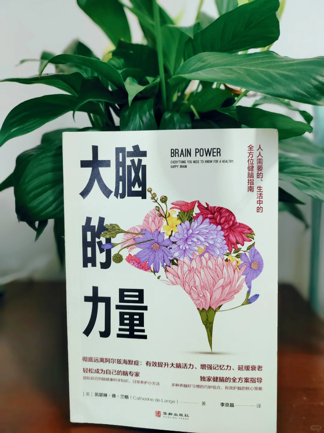 实现看书自由第一步