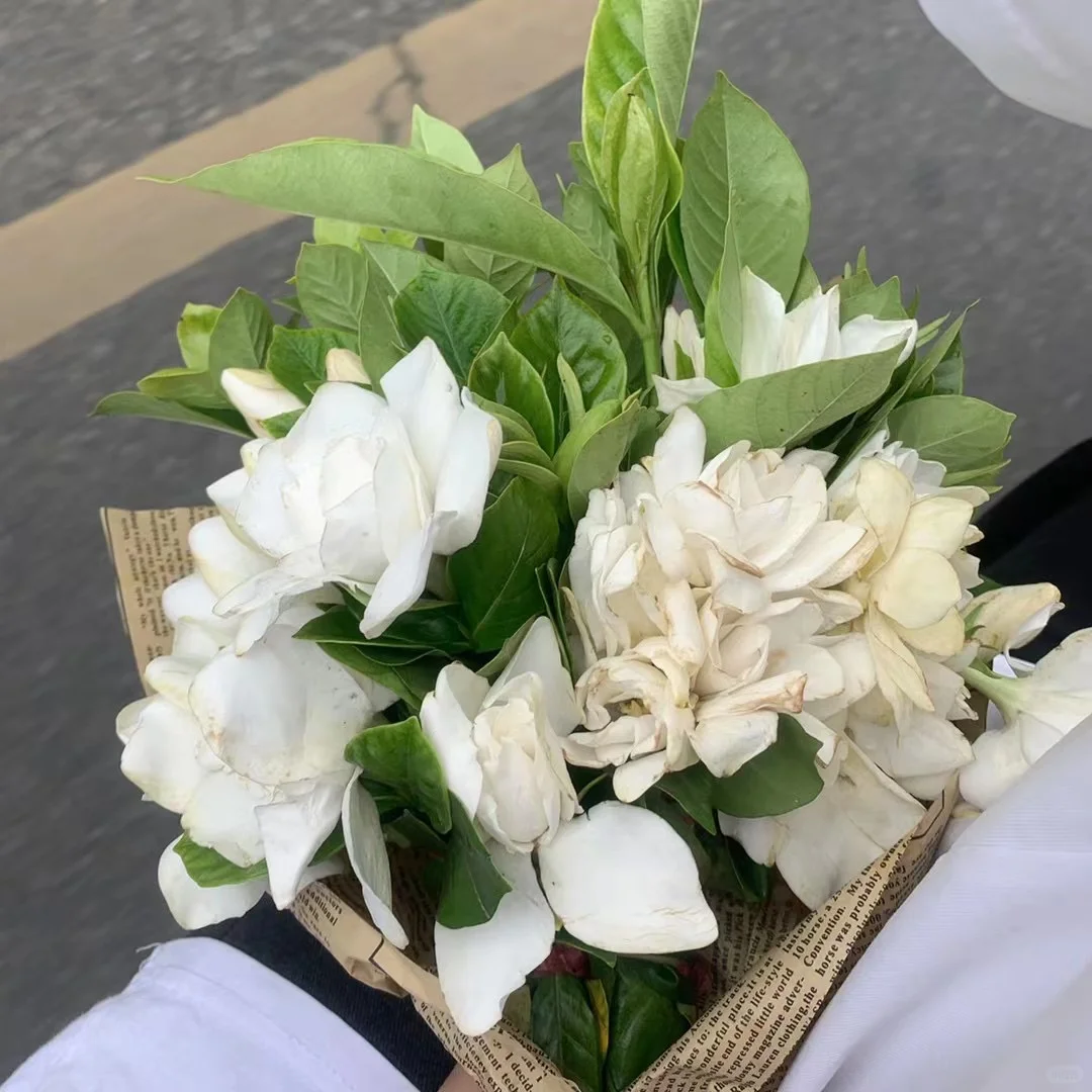 我的解压方式：独处，读书，散步，减少社交频率