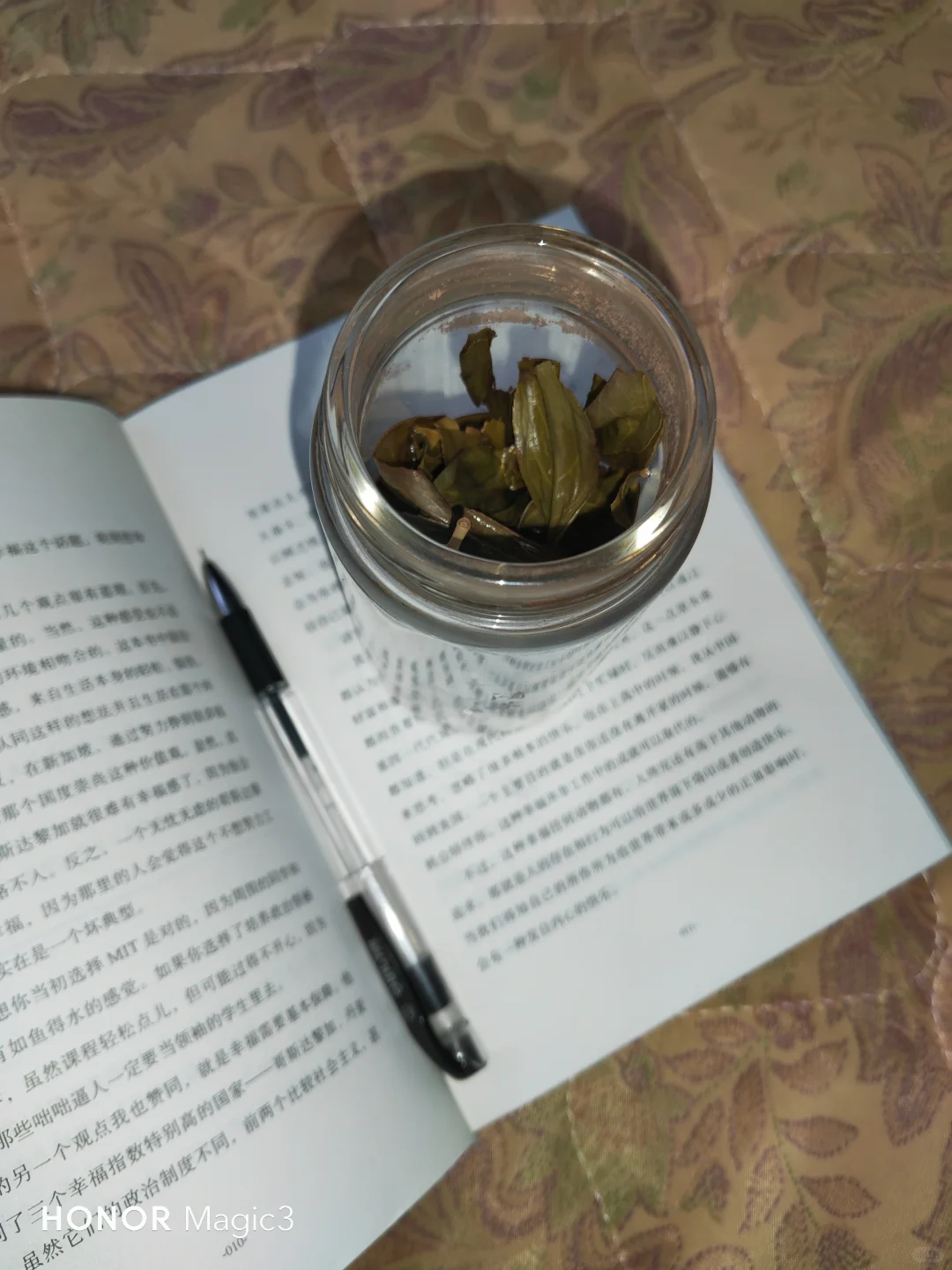 你不想获得自由吗？