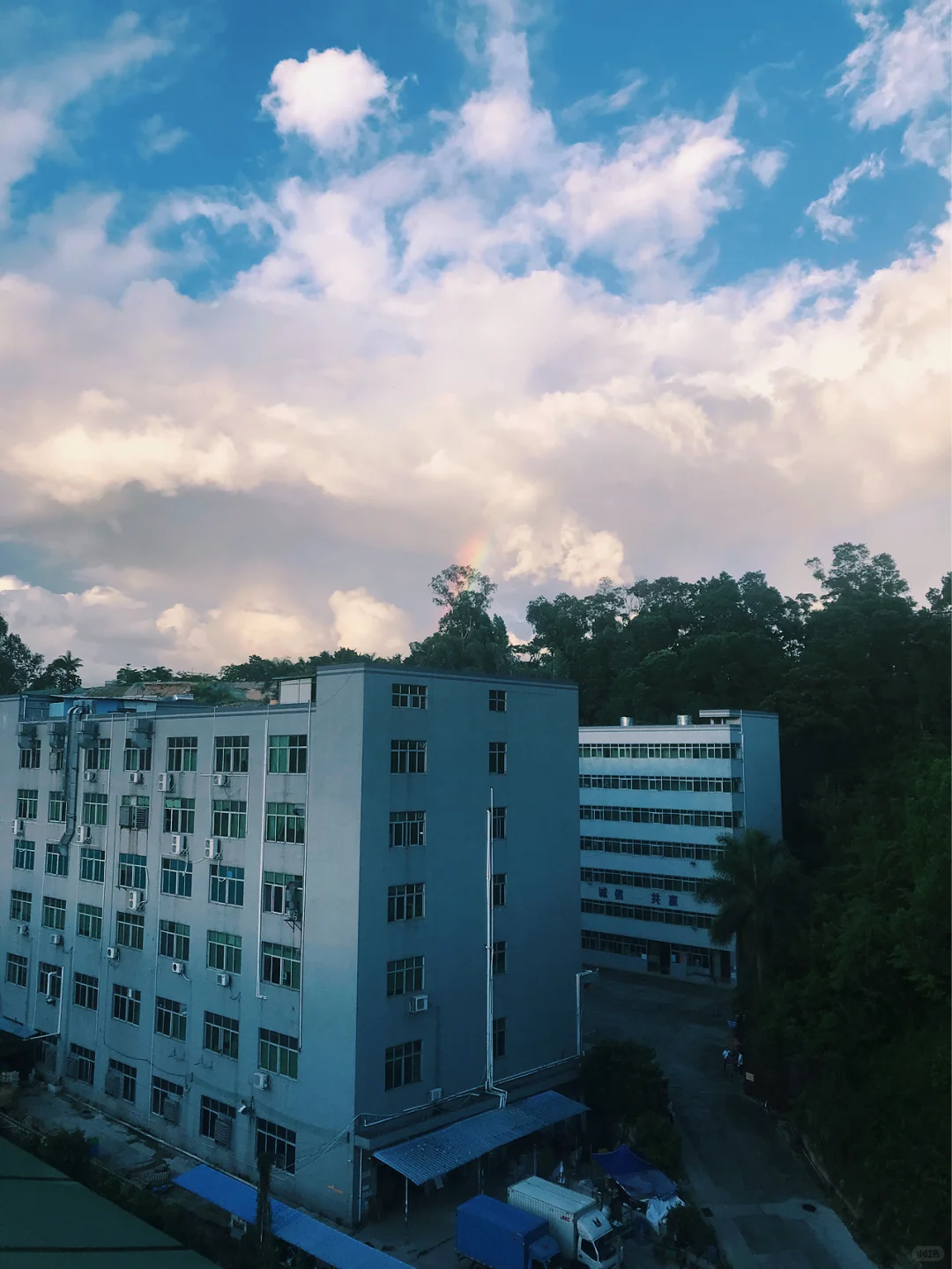 看书，也是一种自由