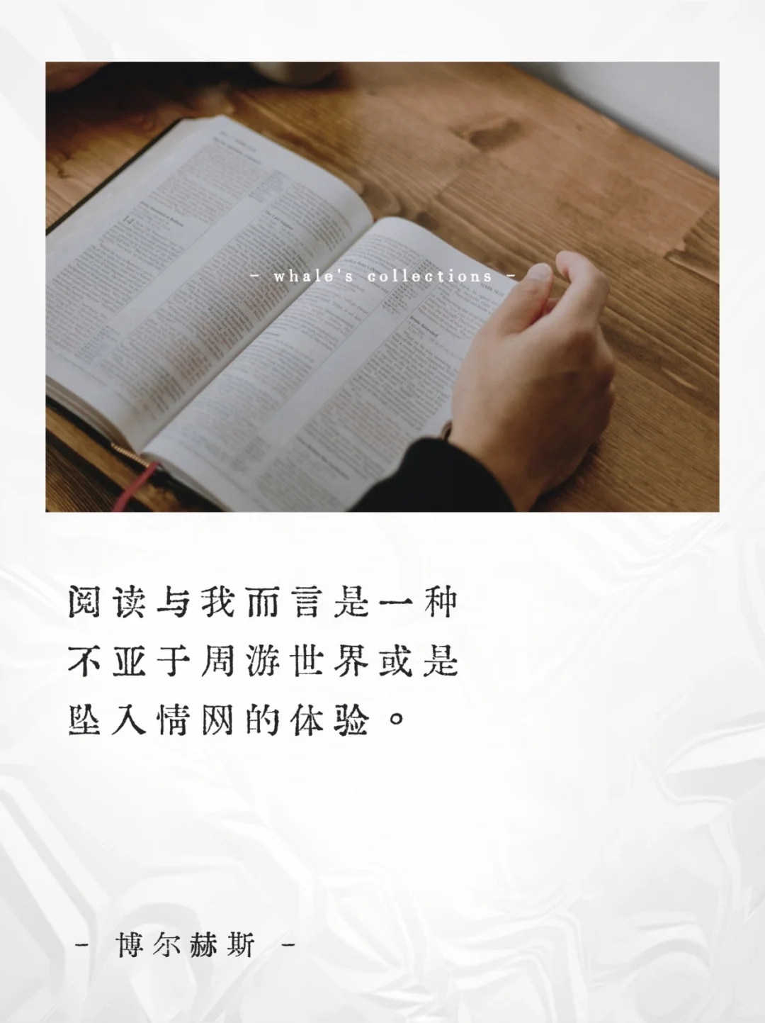 阅读是场孤独中的奇迹📚关于阅读的顶级金句