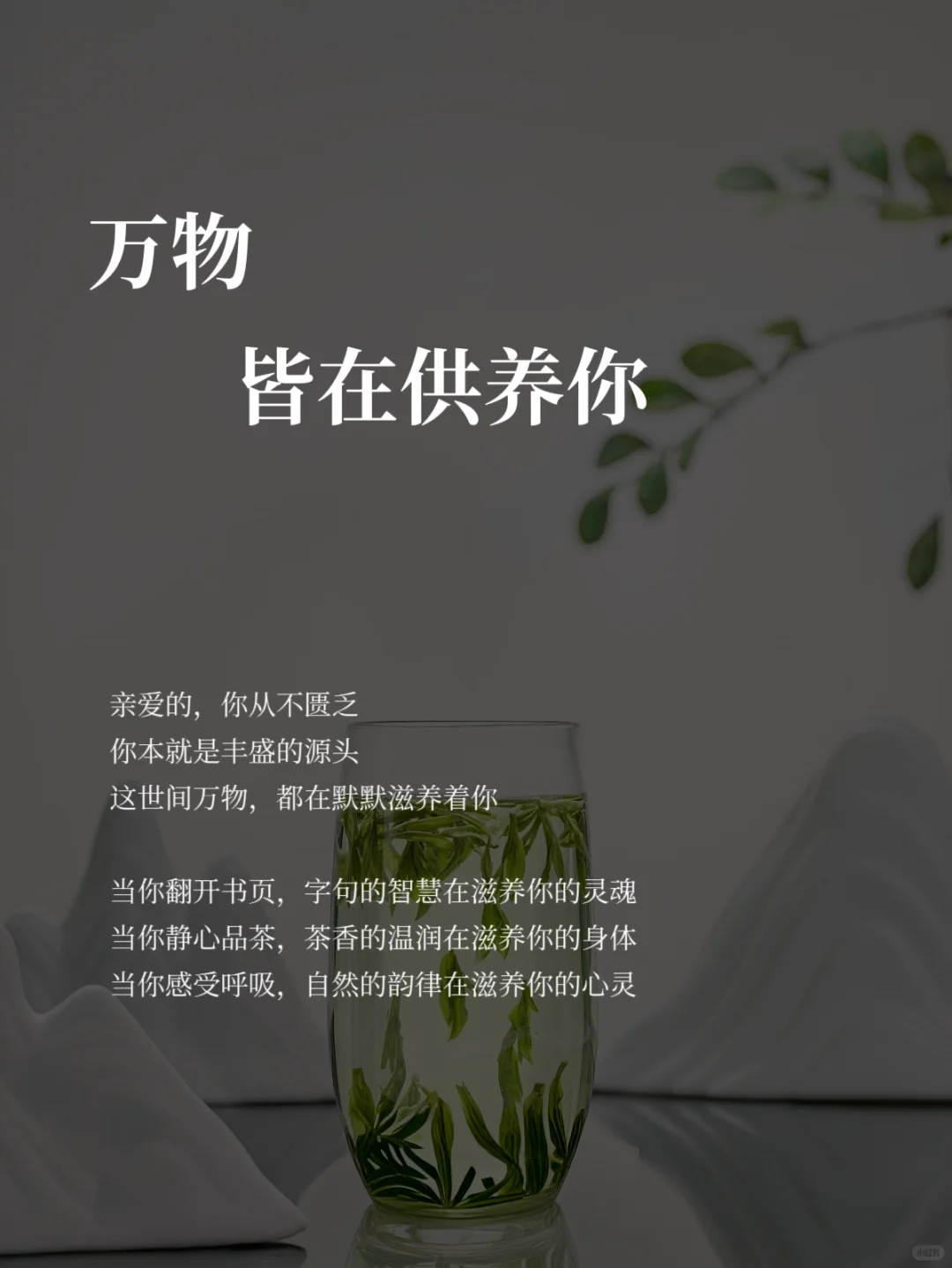 被暖哭，原来万物皆在供养你🌿