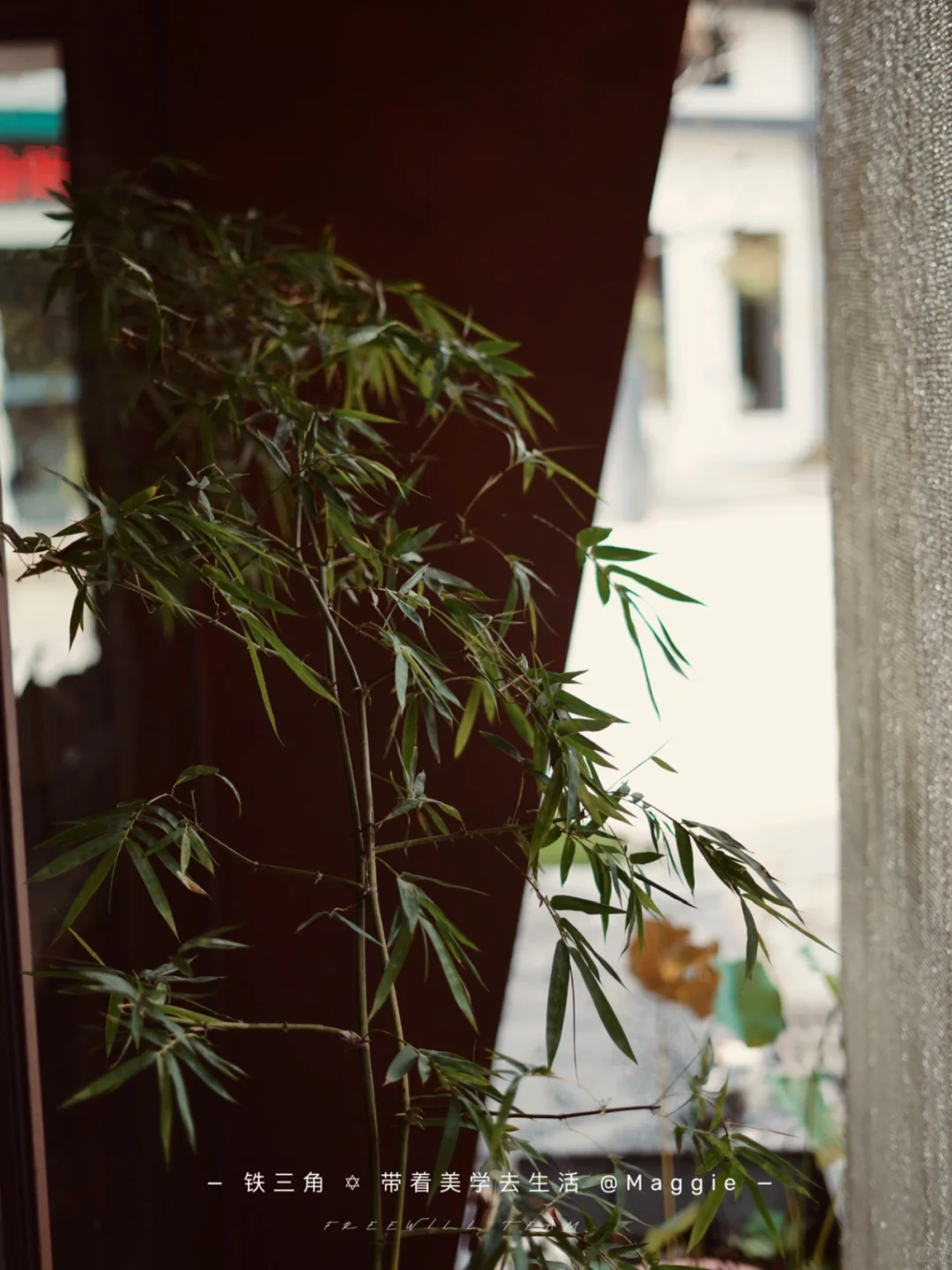 36岁与蕞好的生活撞个满怀：早起，读书，运动