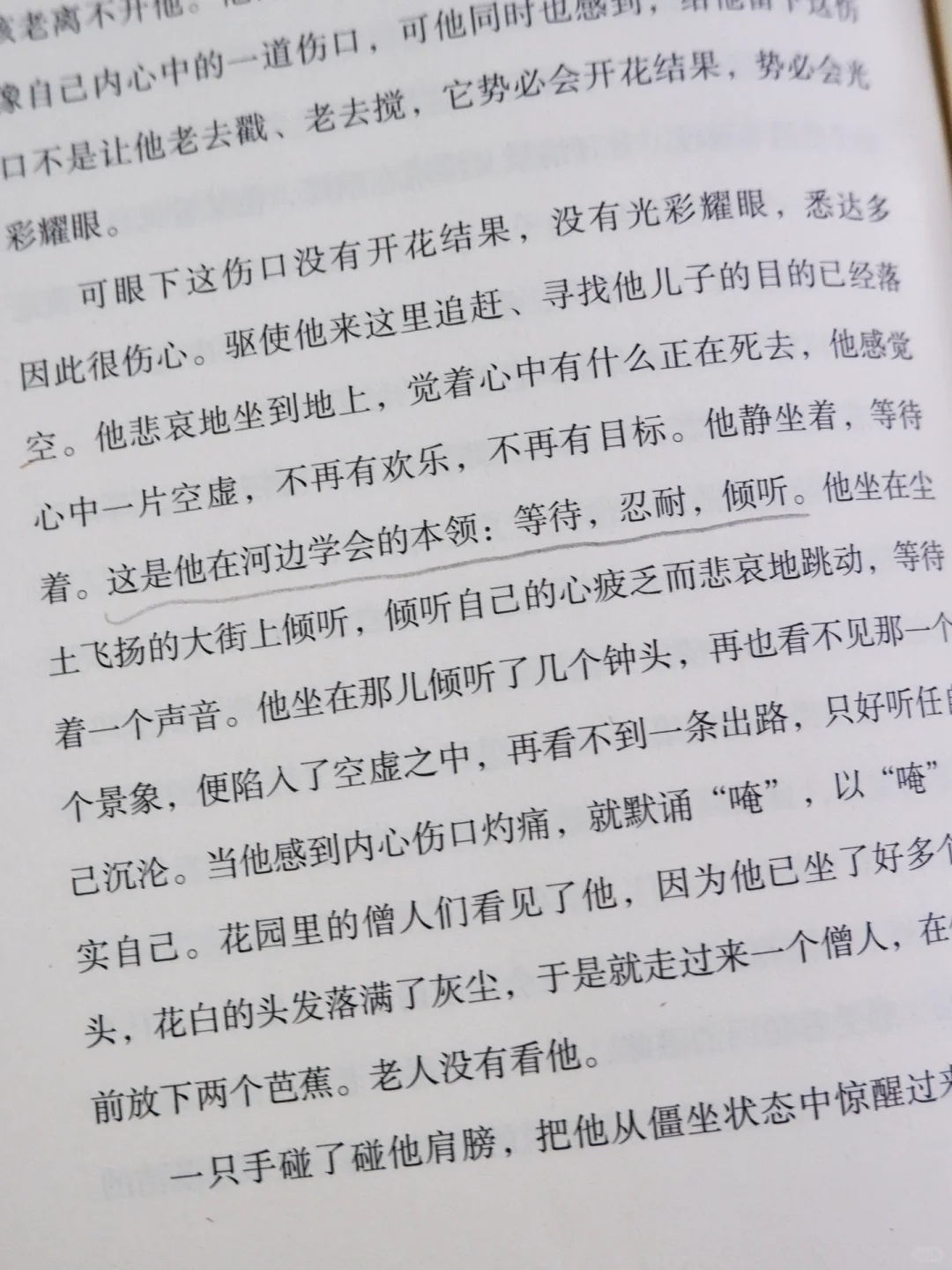 《悉达多》｜知识可以传授，但智慧不能