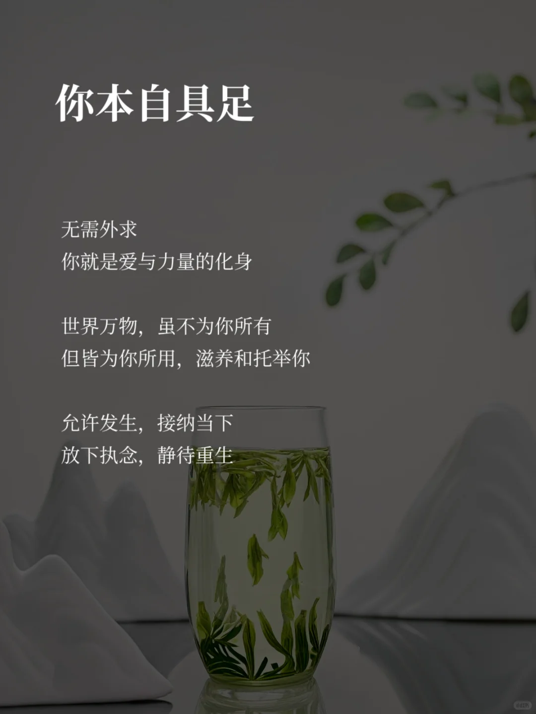 被暖哭，原来万物皆在供养你🌿