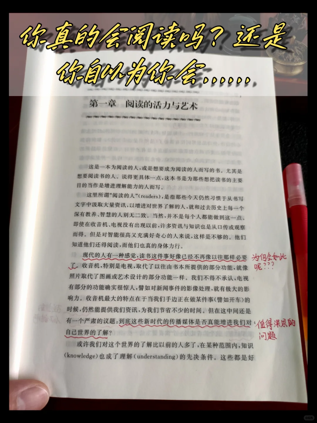 妈耶！读了这本书，我才知道什么是阅读！