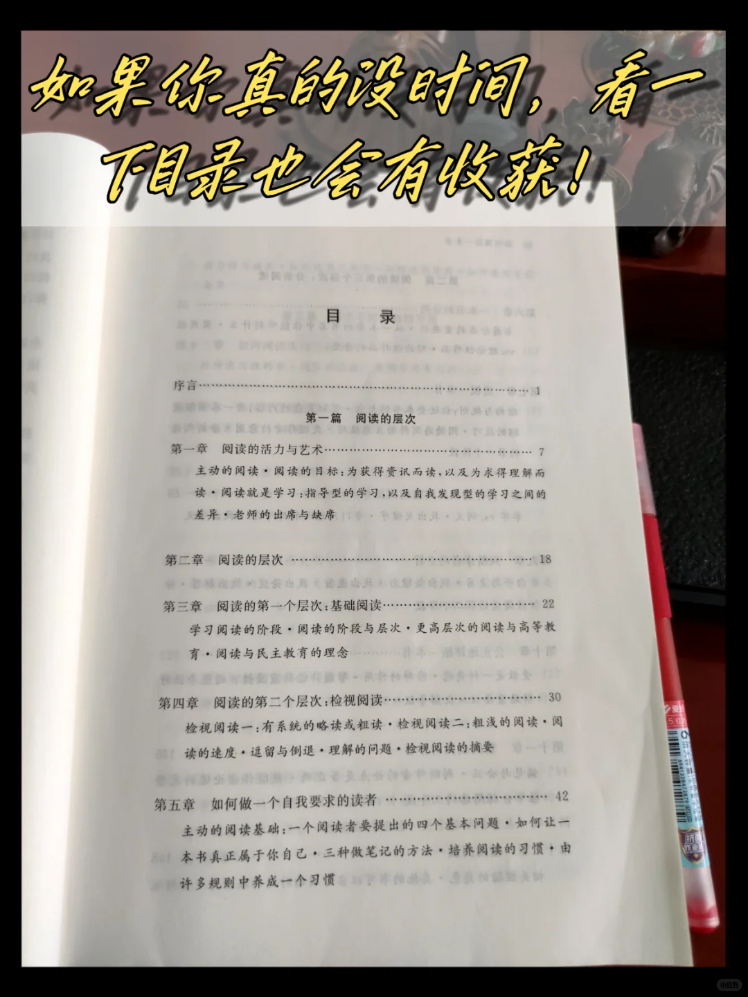 妈耶！读了这本书，我才知道什么是阅读！