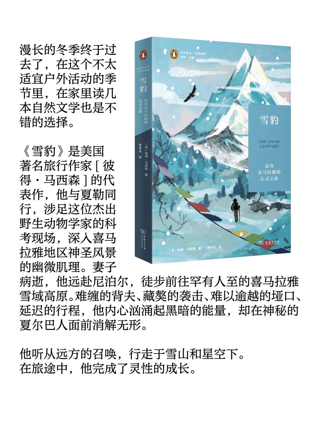 《雪豹》-在自然中寻找自己，一本禅修入门书