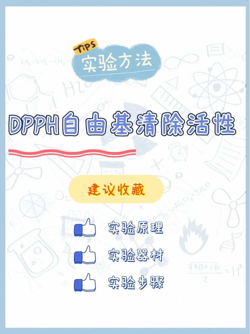 ‼️DPPH自由基清除活性实验！