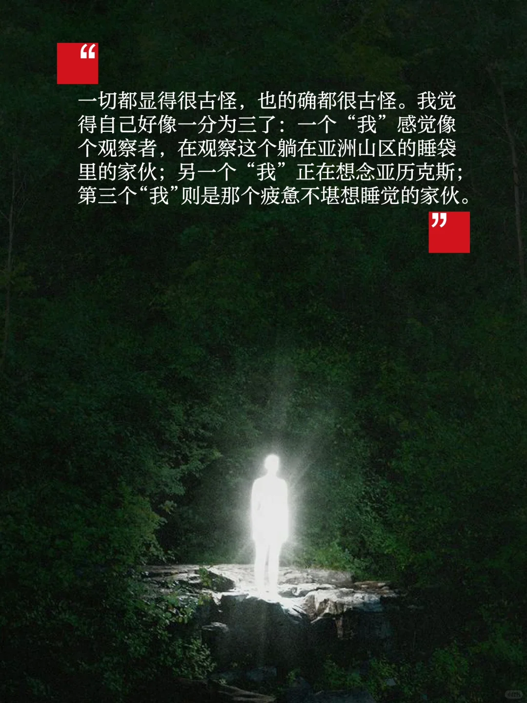 《雪豹》-在自然中寻找自己，一本禅修入门书