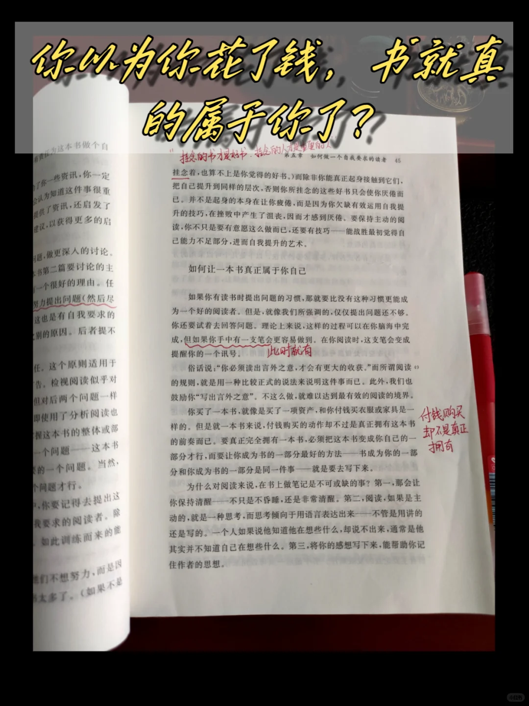 妈耶！读了这本书，我才知道什么是阅读！
