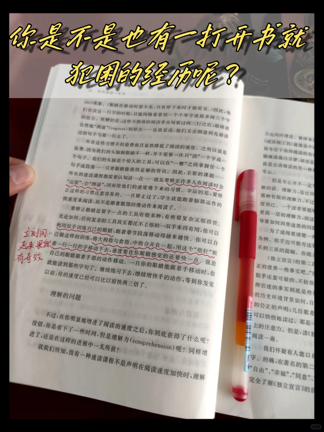 妈耶！读了这本书，我才知道什么是阅读！