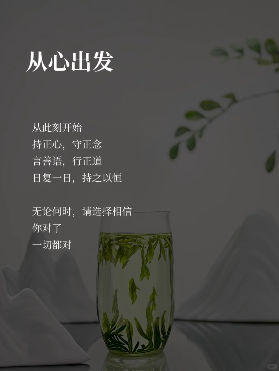 被暖哭，原来万物皆在供养你🌿