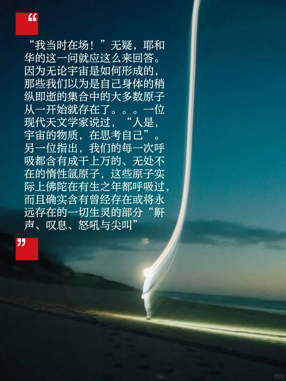 《雪豹》-在自然中寻找自己，一本禅修入门书