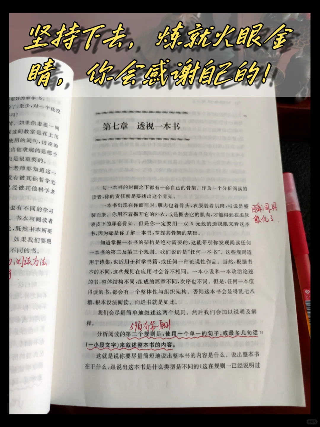 妈耶！读了这本书，我才知道什么是阅读！