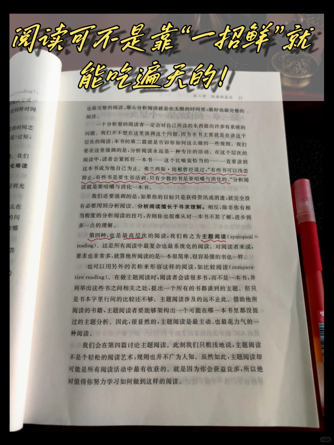 妈耶！读了这本书，我才知道什么是阅读！