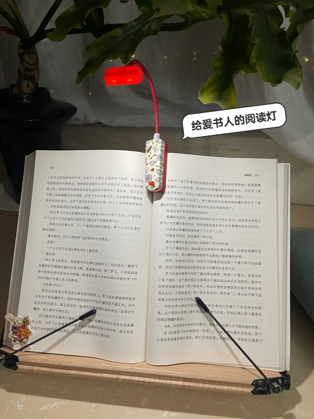 我的伴读好物📖