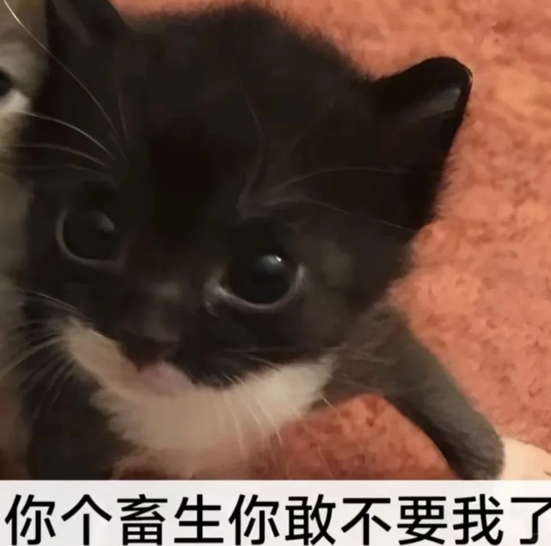 zlibrary怎么进不去了