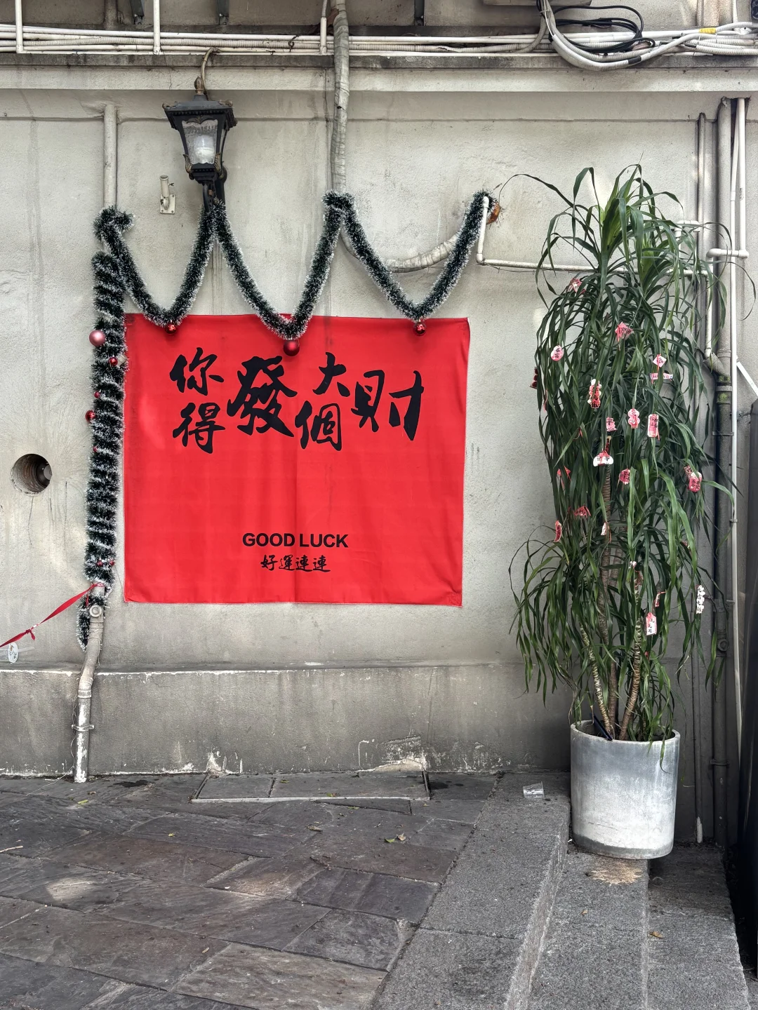 Zlib永久🏋️🫴