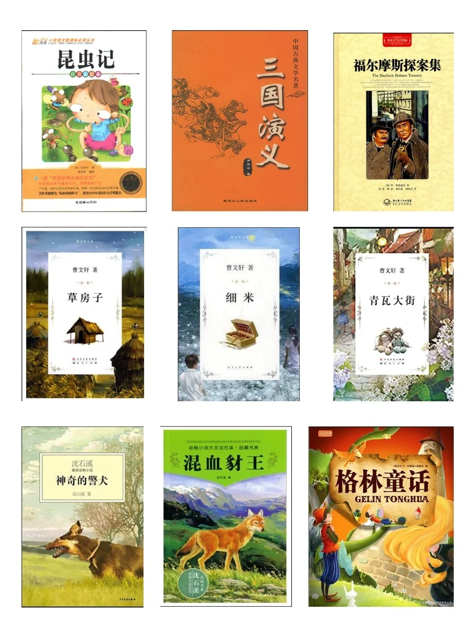 介绍一款全网火爆的打卡学生阅读器