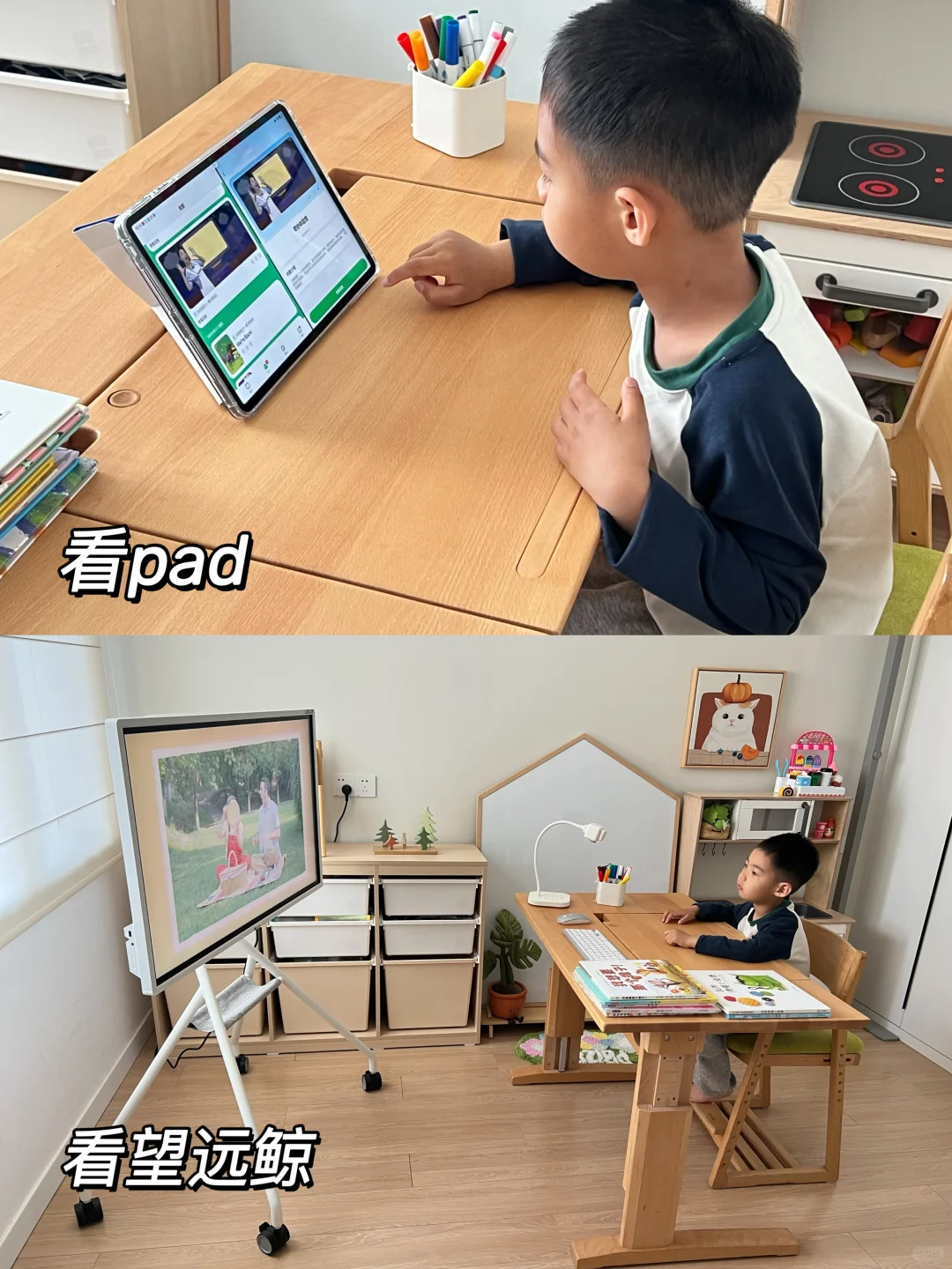 望远鲸| 学习和护眼之间我终于找到了平衡