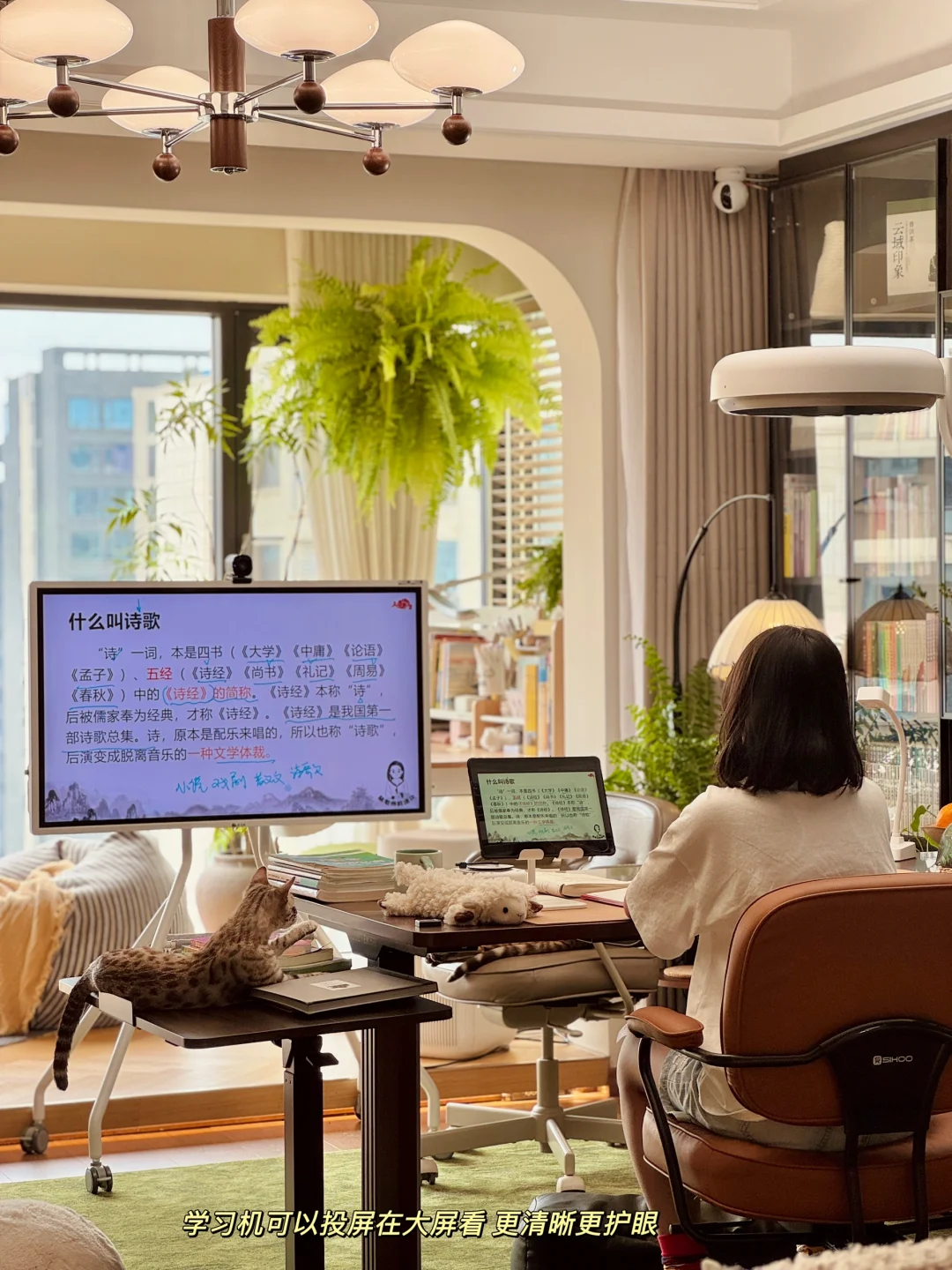 两娃家庭去客厅化，被用回本的学习好搭子