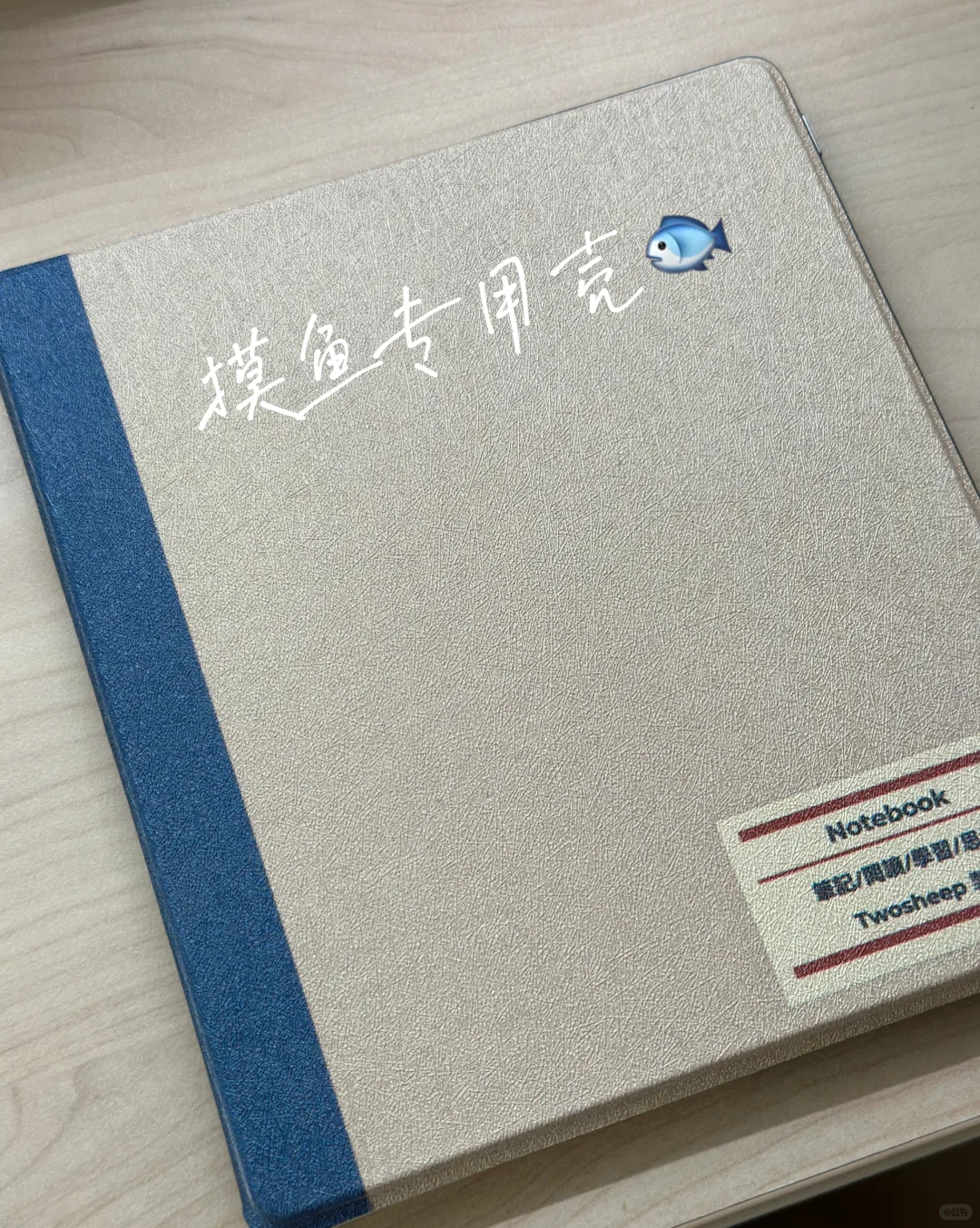 文石leaf5新品测评