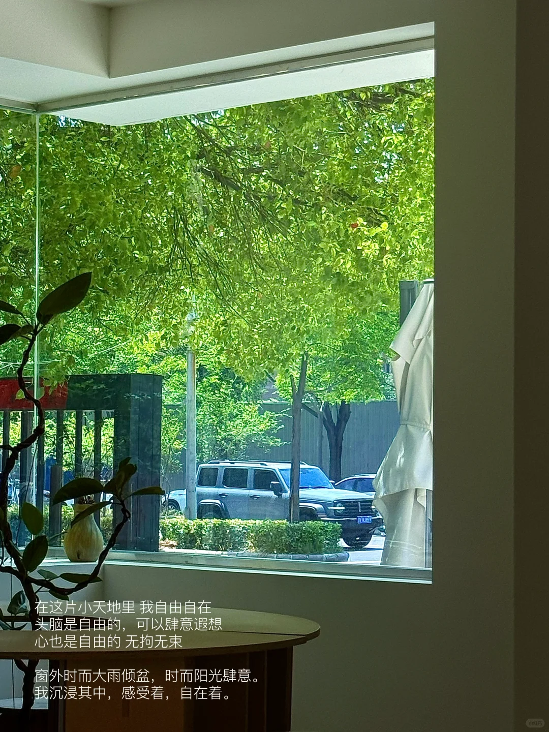 早起是为了享受阅读和咖啡。
