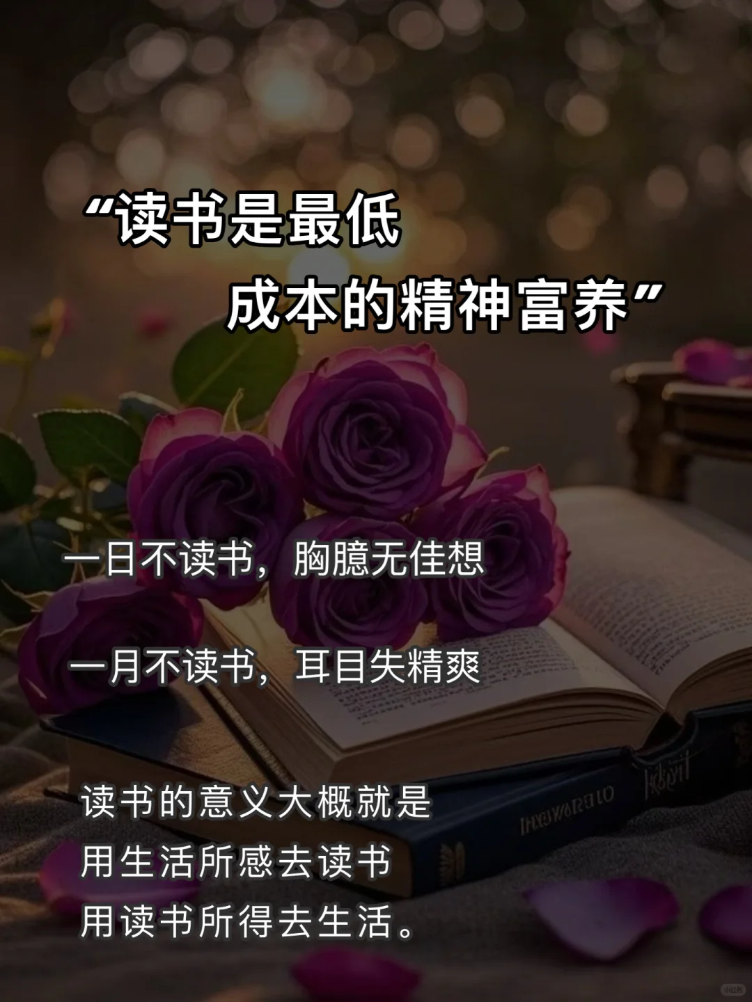 读书是最低成本的精神富养