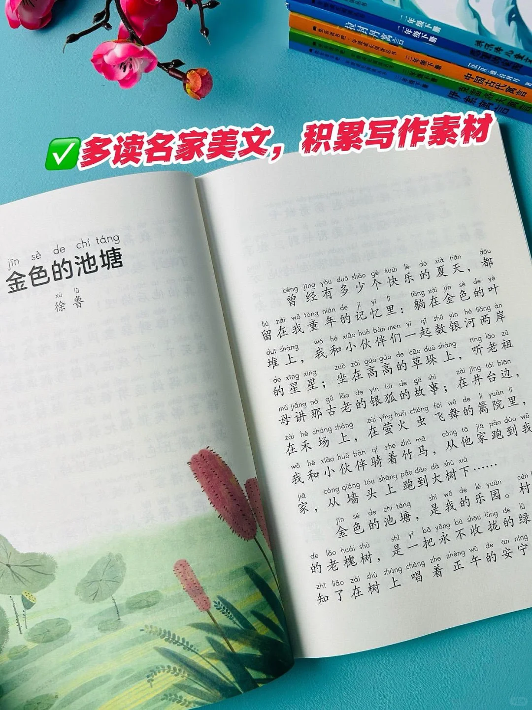 📖阅读可以开拓孩子的视野👀