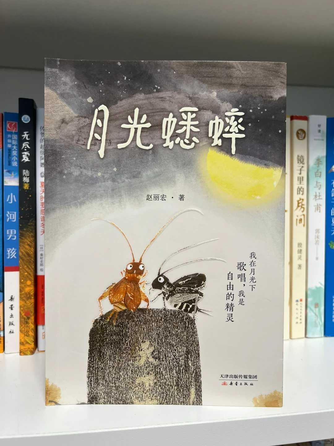 📚【二年级娃3️⃣月书单】娃疯狂打call的TOP3