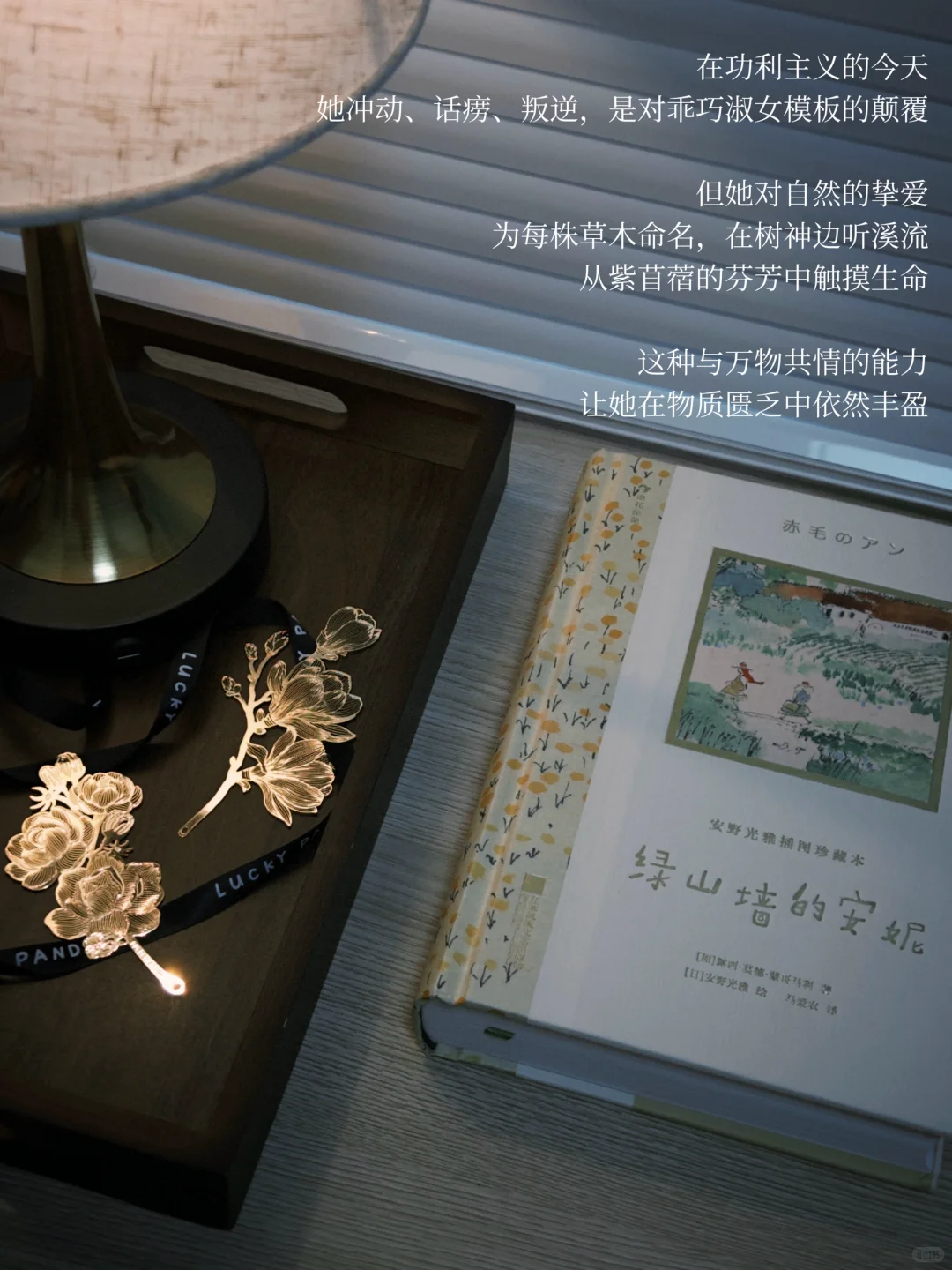 她的一周：阅读、过节、逛书店，享受平静