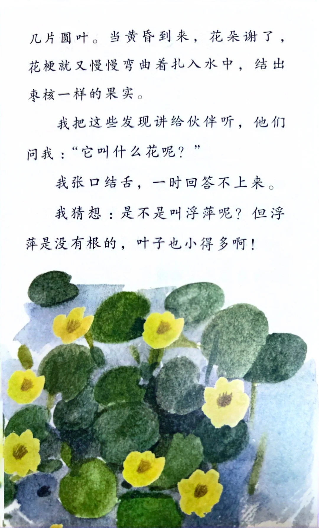 小朋友的推荐📖
