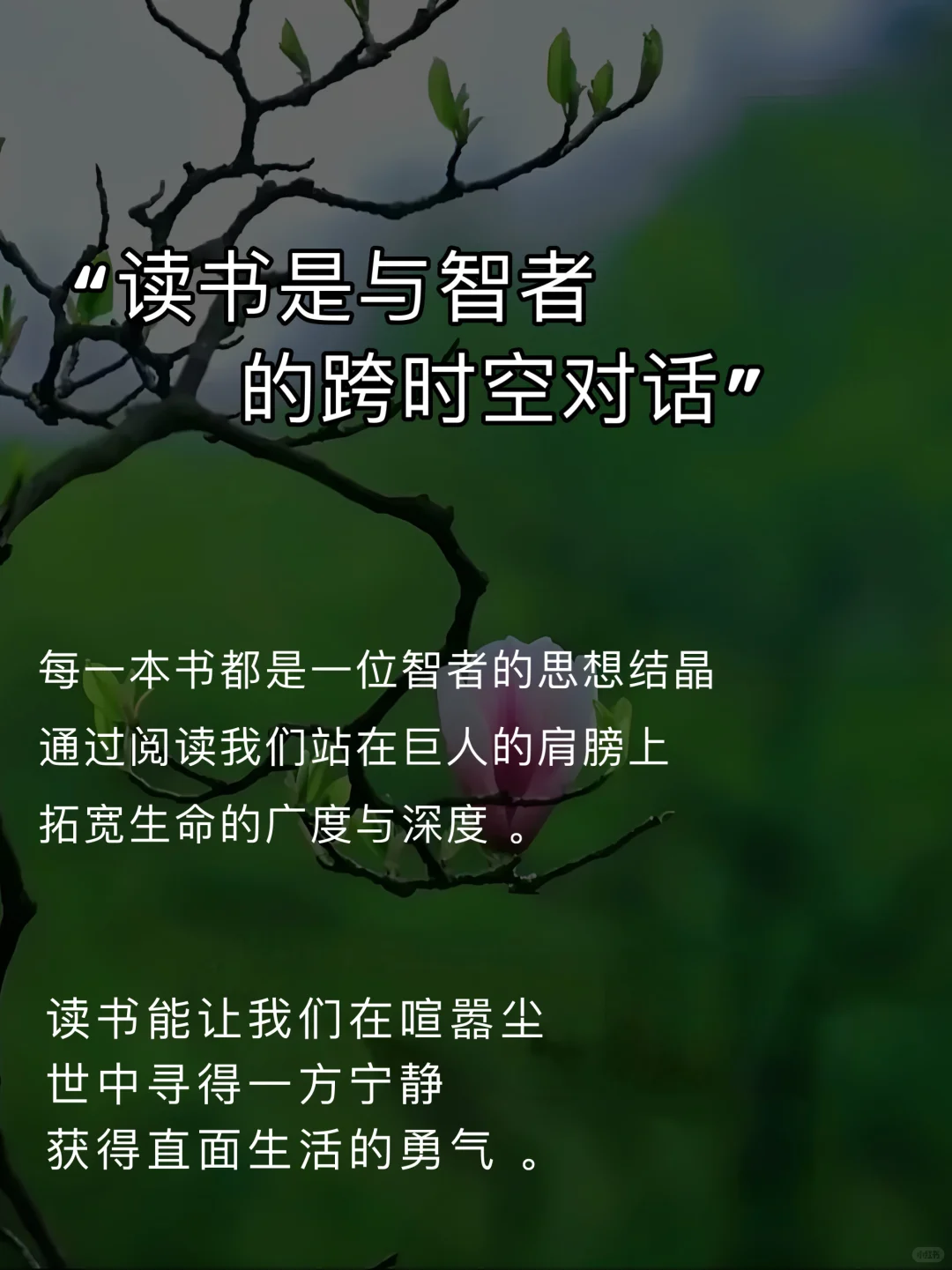 读书是最低成本的精神富养
