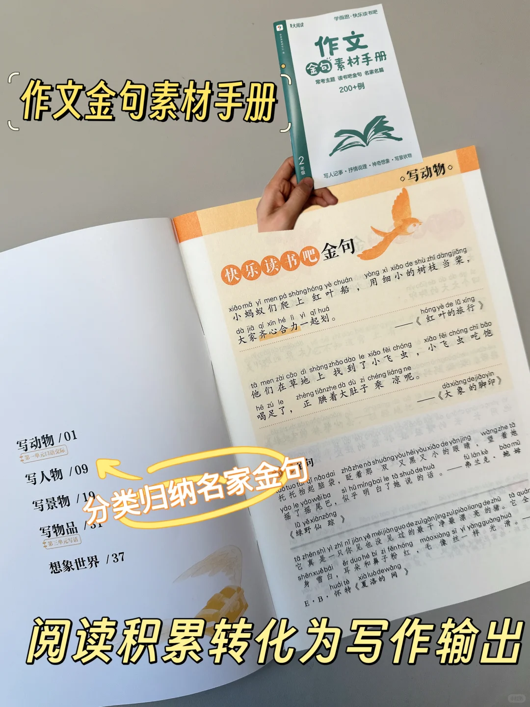 期末逆袭❗️普娃啃透它阅读猛涨10分❗️