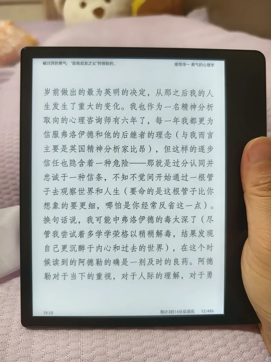 我的新宠