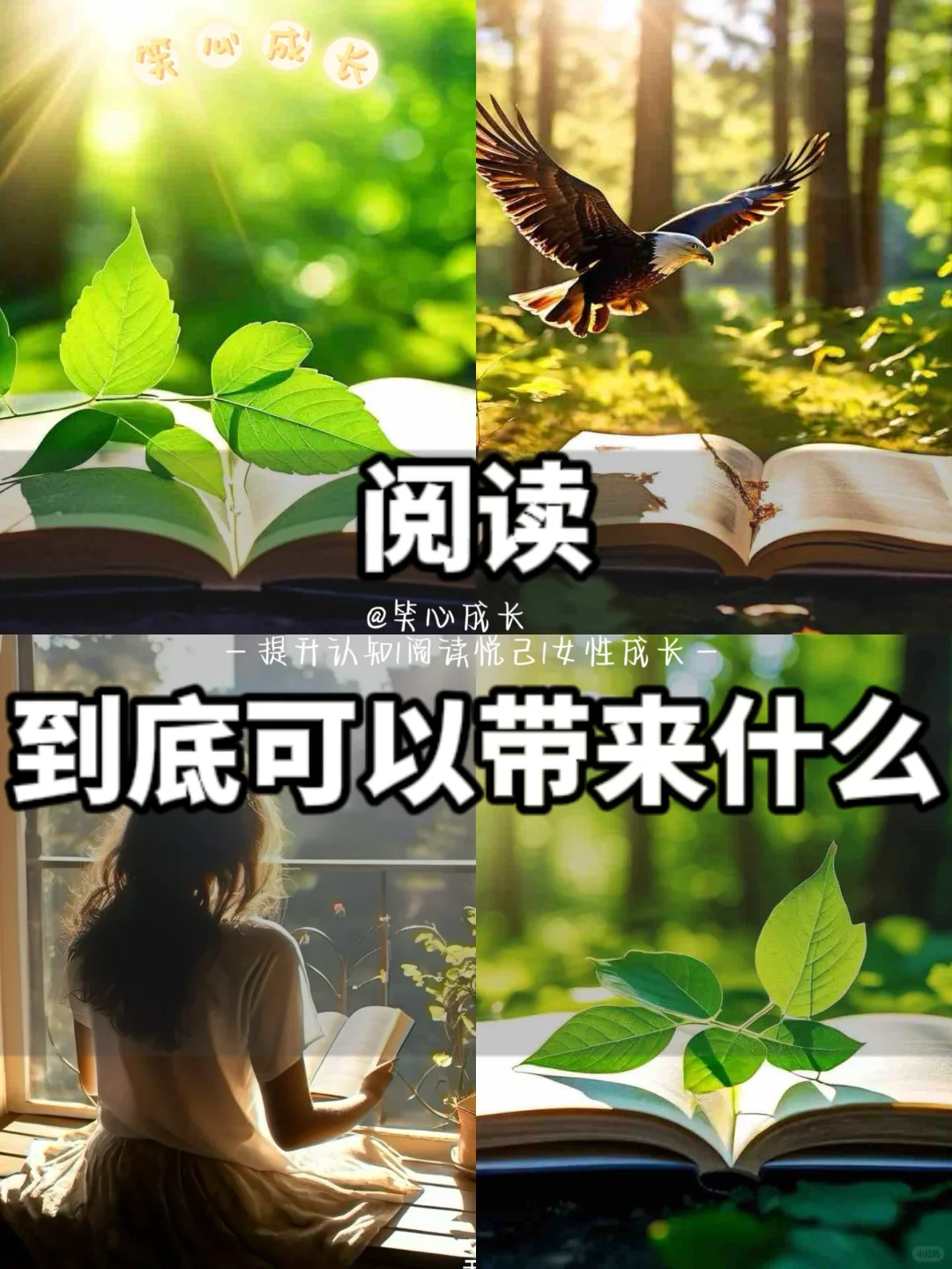 享受阅读带来的宁静和智慧