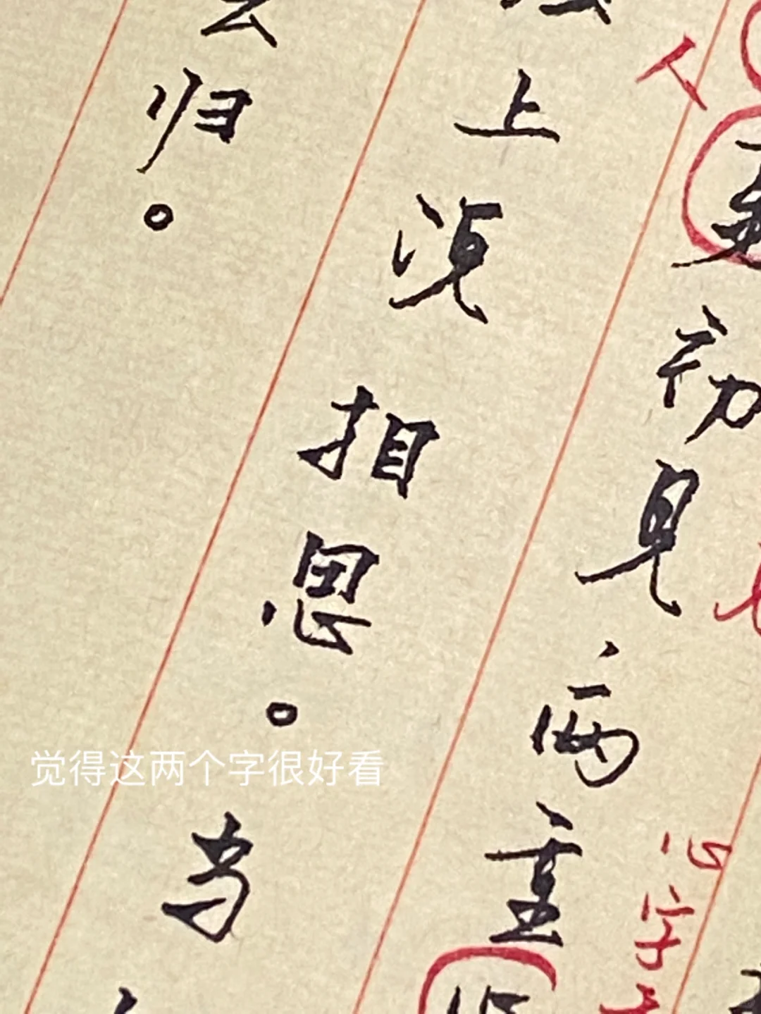 享受无目的的阅读
