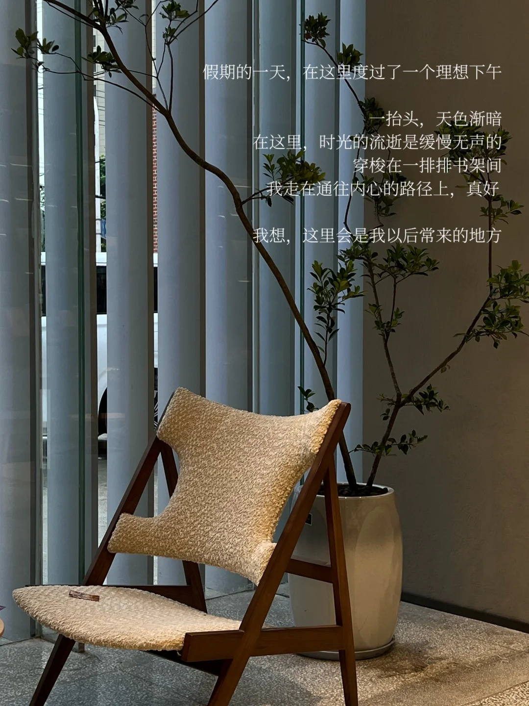 她的一周：阅读、过节、逛书店，享受平静