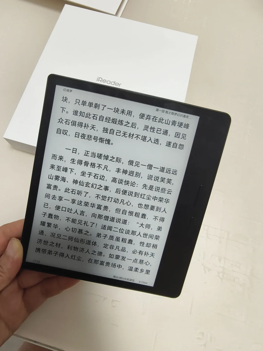 我的新宠