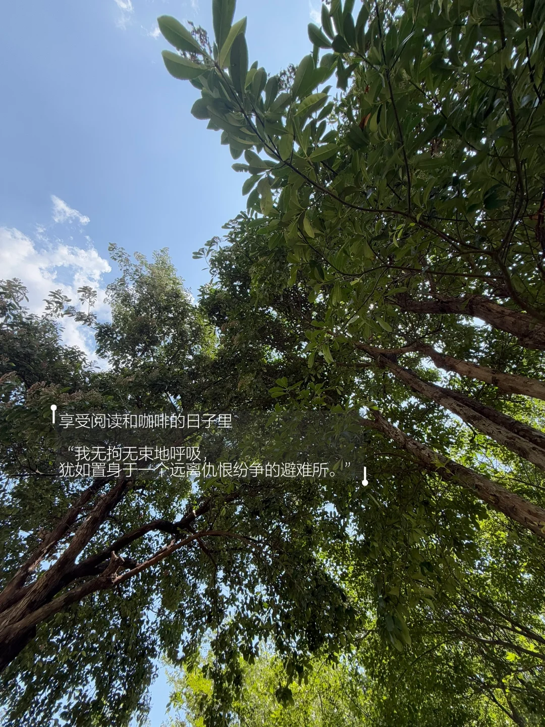 早起是为了享受阅读和咖啡。