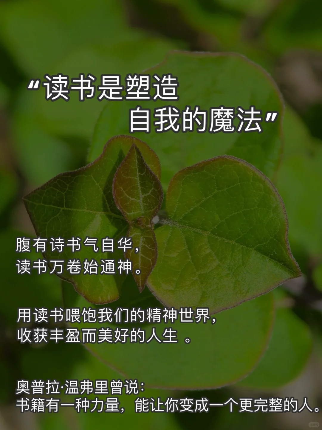 读书是最低成本的精神富养