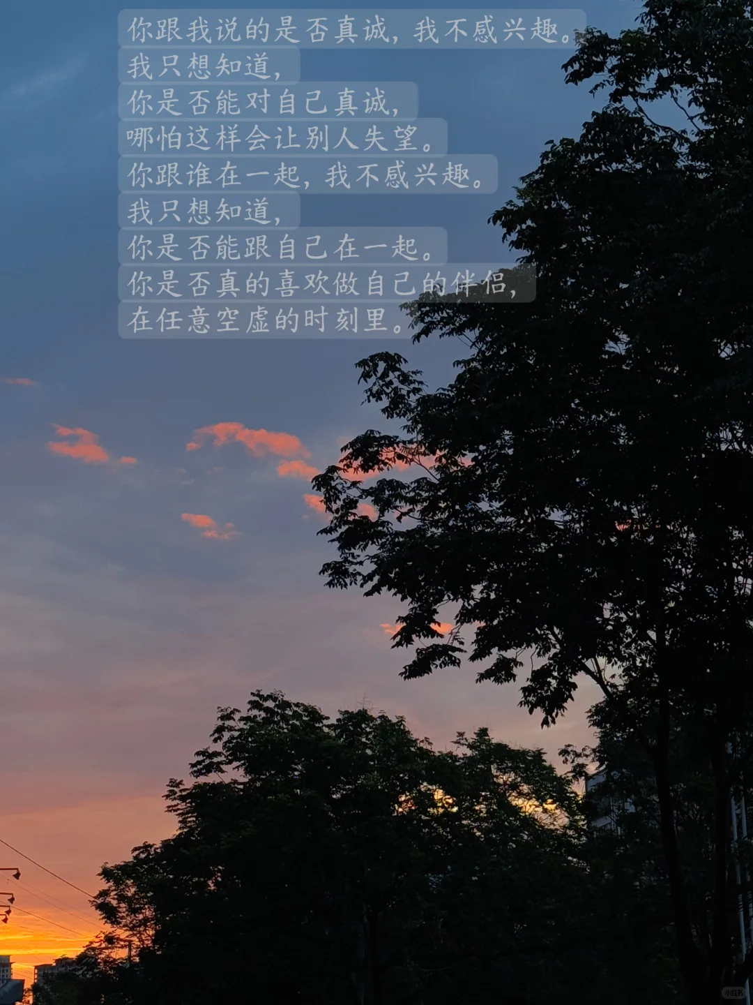 独处不是空白，而是用阅读填满思想的画布.