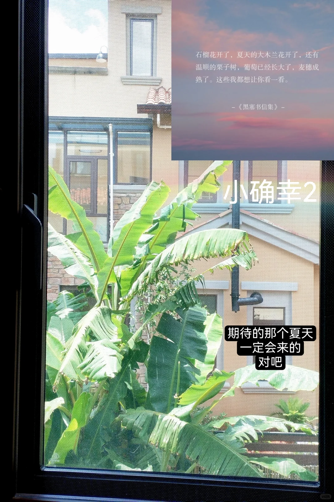 期待的那个夏天一定会到来🌈上海综评备战