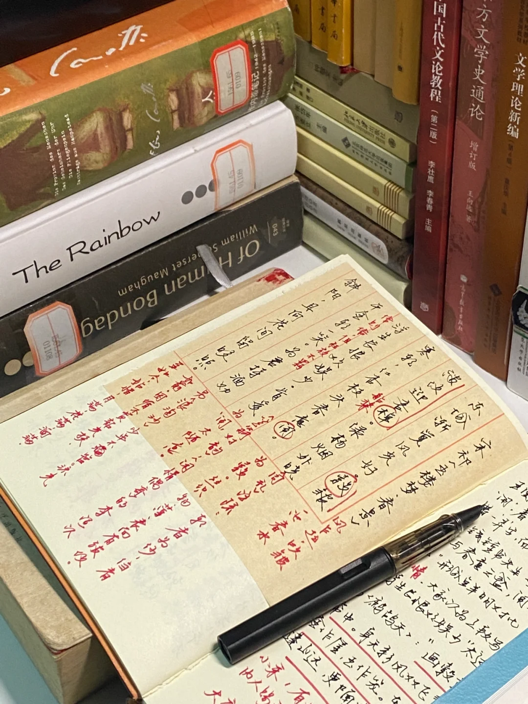 享受无目的的阅读