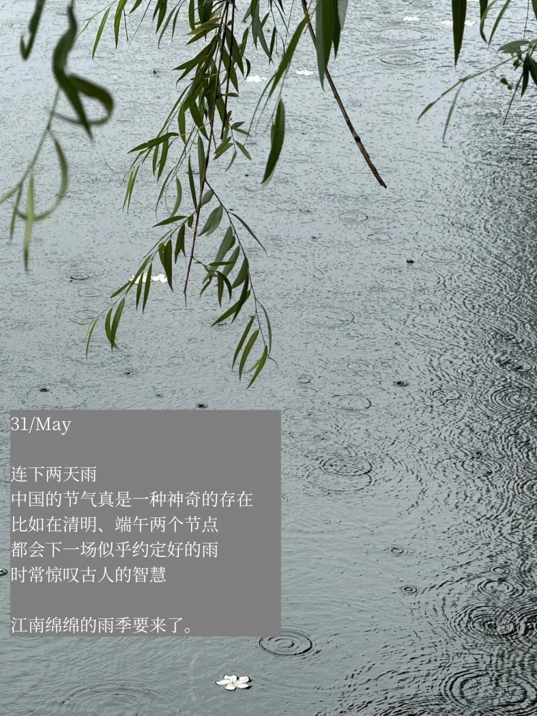 她的一周：阅读、过节、逛书店，享受平静