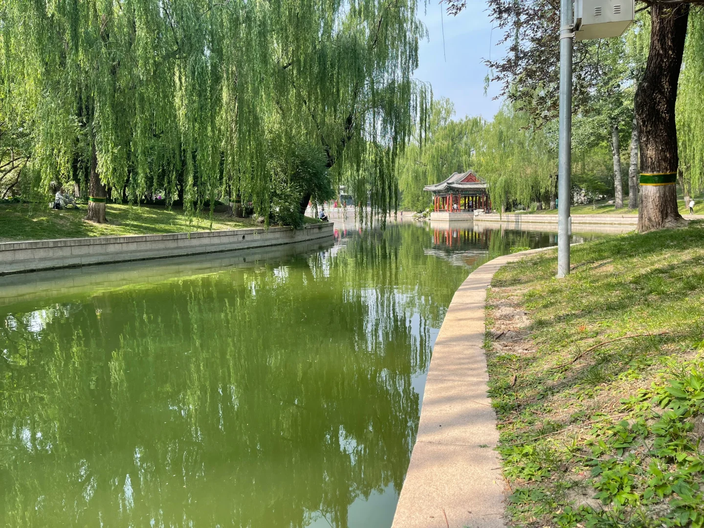 我一直认为，阅读是一种同频共振的流动