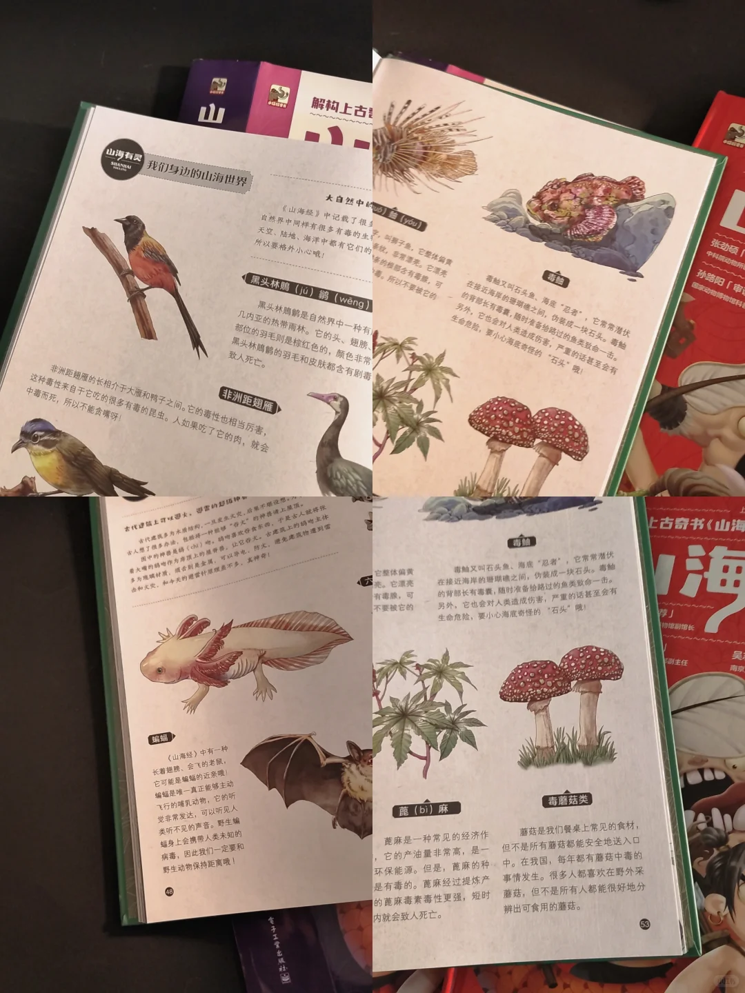 还有人没给孩子看这本漫画版山海经吗？
